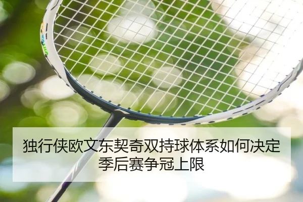 独行侠欧文东契奇双持球体系如何决定季后赛争冠上限